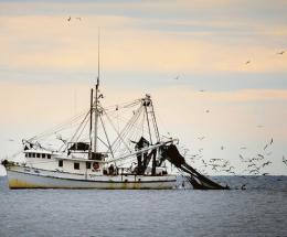 Pesca e legalità, focus di Coldiretti