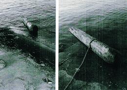 Gettano briccola in acqua... "è una figata"