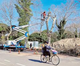 “Arriveranno 60 nuovi alberi”