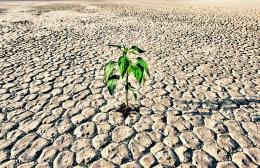 Al via i progetti per il bacino Trezze