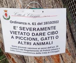 “No cibo ai gatti”, scatta la polemica