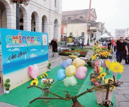 Tripudio di colori a Chioggia in fiore