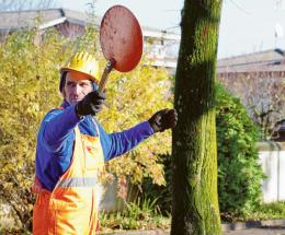 Inserimento al lavoro per 7 persone