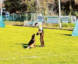 Gli addestratori canini top sono qui