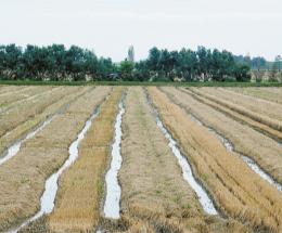 Risparmio da 900mila metri cubi d’acqua