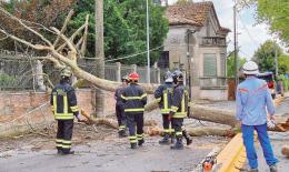 Maltempo di settembre, il Veneto chiede al Governo l’attivazione del Fondo di Solidarietà nazionale