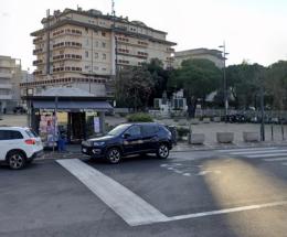 Via gli alberi: &ldquo;Vanno ripiantati&rdquo;