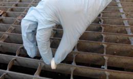 Zanzare, parte la campagna