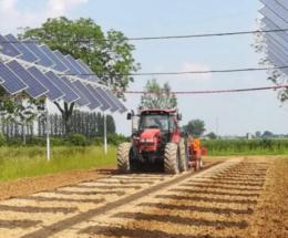 Agrivoltaico &ldquo;ok ma capiamo&rdquo;