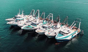 Sostenibilit&agrave; delle marinerie clodiensi: operatori e istituzioni si confrontano