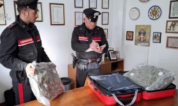 Nel trolley nascondeva 5,2 chili di hashih, arrestato