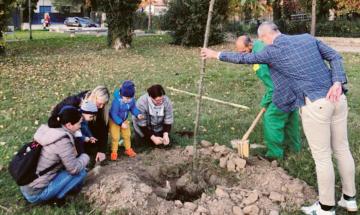 In città arrivano quasi 700 piante