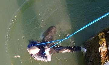 Uomo salvato dalle correnti dell'Adige