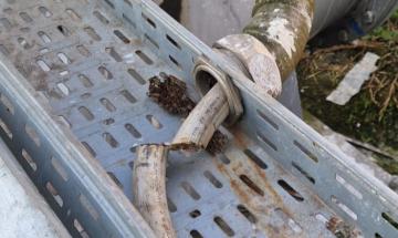 I ladri razziano anche le idrovore