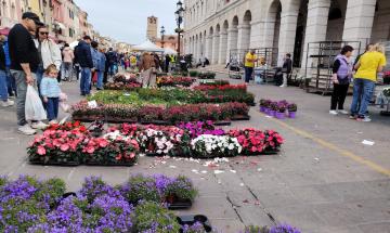 Un giardino lungo il Corso &egrave; la magia della citt&agrave; in fiore