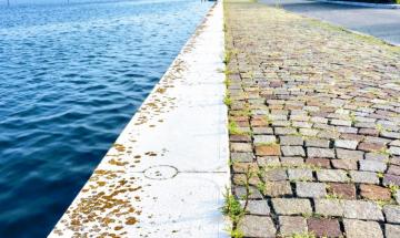 Luned&igrave; 20 riapre il cantiere sulla Riva Lusenzo Nord