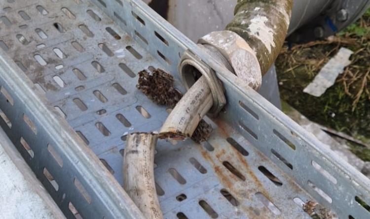 I ladri razziano anche le idrovore