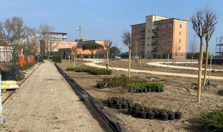 Arena, i lavori procedono spediti