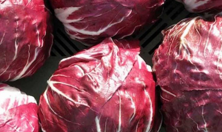 Il radicchio star della tv