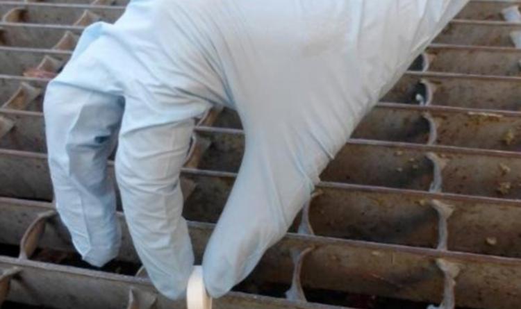 Zanzare, da gioved&igrave; le pastiglie